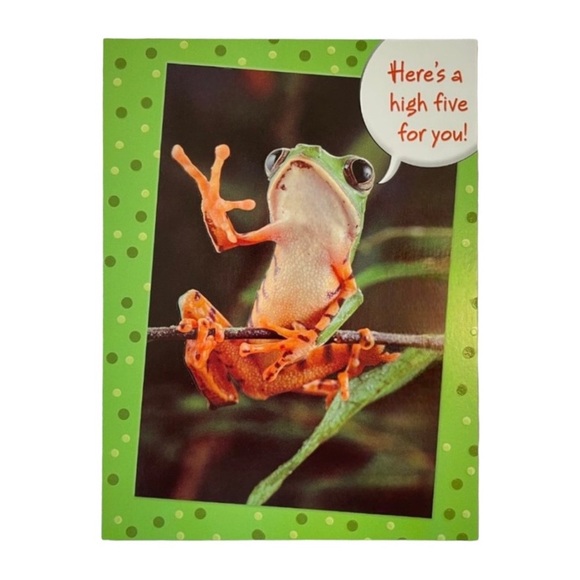 Frog High Five Happy Birthday Card - Picture 1 of 9